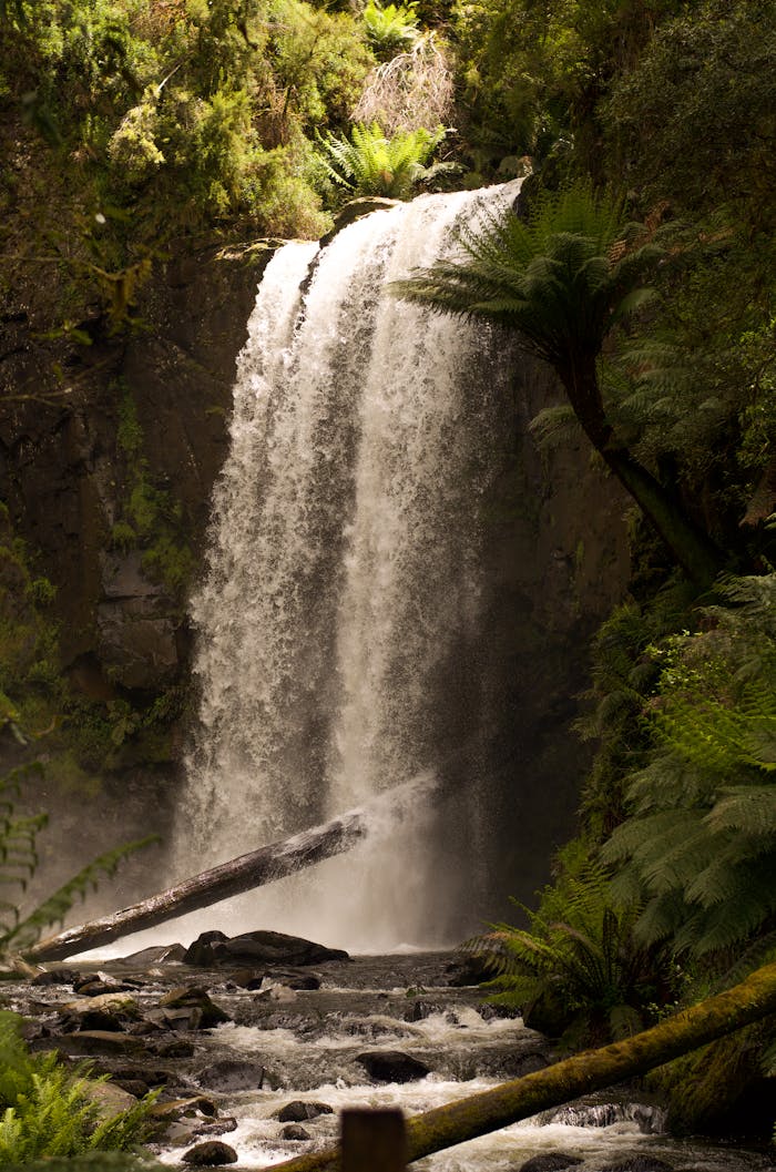 Picturesque Waterfall in the Forest